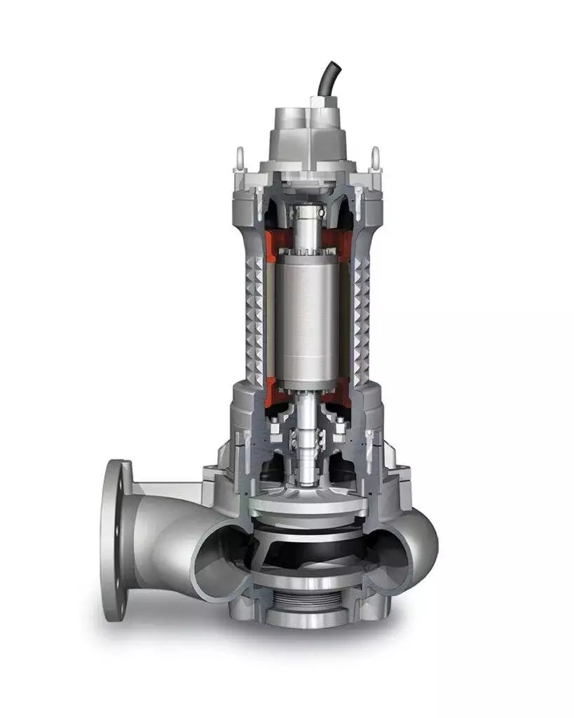 Cross section of a Faggiolati pump.